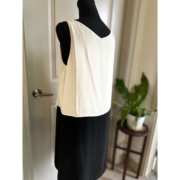 Eileen Fisher Two-Tone Silk Shift Dress in Bone Black Sz. Small - Picture 3 of 12